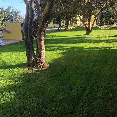 فندق Il Ginepro فاليدوريا المظهر الخارجي الصورة